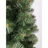Сосна TRIUMPH TREE САНКТ-ПЕТЕРБУРГ супер стройная 230 см зеленая 72248